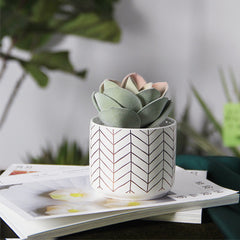 Modern And Simple Ceramic Flower Pots Home Fashion Green Planting Pots