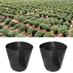 Plastic Cultivating Thickening Planting Flowers In Nursery Pots